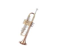 Tromba professionale Tromba strumento a tubo singolo in rame bianco Tromba in Si bemolle tubo in rame laccato oro