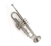 Tromba professionale Tromba Strumento in ottone Super Tromba Professionale Oro Argento Principiante Si bemolle(Color:Silver)