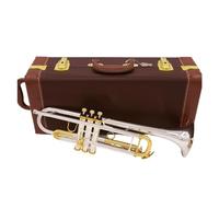 Tromba professionale Tromba strumento musicale piatto argento tromba per studenti in ottone