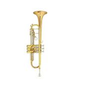 Tromba professionale Versione aggiornata dello strumento tromba in si bemolle per gli studenti della banda che sostengono esami per principianti