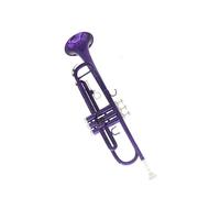 Tromba professionale Viola B tromba tubo in ottone studente principiante professionista che suona la tromba per strumenti in ottone