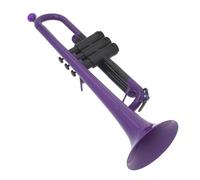 Tromba professionale Viola Professionale Suonare Strumento in Ottone di Plastica B Piatto Tromba Test per Principianti