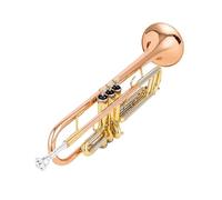 Tromba Si Bemolle Ottone Principiante Strumento Professionale tromba strumento musicale(Red)