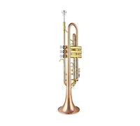 Tromba Si bemolle rame bianco fosforo rame strumento musicale professionale tromba strumento musicale