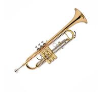 Tromba Si Bemolle Tromba Professionale Bronzo Fosforoso Ottone Acciaio Inox Tromba Professionale Strumento Musicale