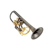Tromba Sib A Valvola Rotante Si Bemolle Ottone Nichel Nero Oro Tromba Professionale Strumenti Musicali Con Custodia In Pelle