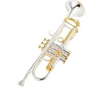 Tromba Sib Tromba Argentata Tromba Piccola In Ottone Strumento Musicale Strumenti Professionali Per Principianti