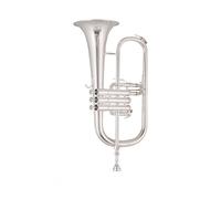 Tromba Silver Beginner Performance Test B flat Tromba Strumento Bronzo fosforoso Modello placcato argento
