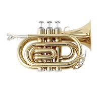 TROMBA SOUNDSATION STPGD-10P POCKET GOLD