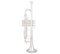 Tromba Standard 8335 Tromba Piccola In Sib Strumento Piatto Placcato Argento Tromba In Sib In Ottone(B)