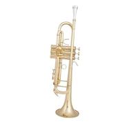 Tromba Standard Amanti Della Musica Tromba In Sib Si Bemolle Ottone Placcato Argento Tromba Professionale Strumenti Musicali Oro(Gold)