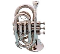 Tromba Standard Bb Set Per Principianti Mini Tromba Tascabile Sib Strumento A Fiato In Ottone Con Guanti Custodia Per Il Trasporto(Silver)