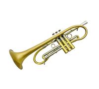 Tromba Standard Bb Set Per Principianti Music Lover Standard Tromba Sib Materiale Rame Strumenti In Ottone