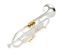Tromba Standard Bb Set Per Principianti Produzione Professionale Tromba In Sib Tune Ottone Placcato Oro Strumenti Musicali Professionali Con Custodia(Silver)