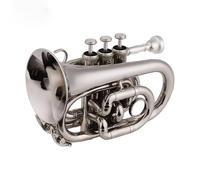 Tromba Standard Bb Set Per Principianti Set Tromba Standard Sib Flat In Ottone Materiale Strumento A Fiato Con Guanti In Tessuto Custodia Per Il Trasporto(Silver)