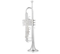 Tromba Standard Bb Set Per Principianti Strumento A Tromba In Si Bemolle Bellissimo Strumento Per Adulti Per Principianti(B)