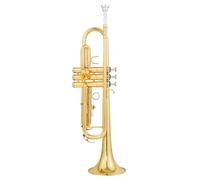 Tromba Standard Bb Set Per Principianti Strumento A Tromba In Si Bemolle Bellissimo Strumento Per Adulti Per Principianti(A)