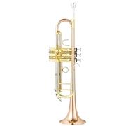 Tromba Standard Bb Set Per Principianti Strumento A Tromba In Si Bemolle Bellissimo Strumento Per Adulti Per Principianti(F)