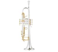 Tromba Standard Bb Set Per Principianti Strumento A Tromba In Si Bemolle Bellissimo Strumento Per Adulti Per Principianti(E)