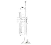 Tromba Standard Bb Set Per Principianti Strumento A Tromba In Si Bemolle Bellissimo Strumento Per Adulti Per Principianti(D)