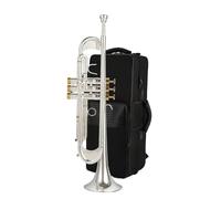 Tromba Standard Bb Set Per Principianti Strumento A Tromba In Si Bemolle Test Di Valutazione Dello Strumento Tromba Strumento Professionale Per Principianti(G)