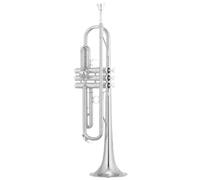 Tromba Standard Bb Set Per Principianti Strumento A Tromba SI Bemolle Placcato Argento Esame Per Principianti Prestazione Professionale(B)