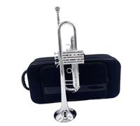 Tromba Standard Bb Set Per Principianti Strumento A Tromba Standard Immagine Reale Colore Placcato Argento Prestazioni Professionali