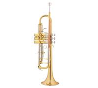 Tromba Standard Bb Set Per Principianti Strumento A Tromba Standard Professionale In Chiave SI Bemolle Livello Di Prestazione Professionale Per Gruppi Per Adulti Principianti(F)