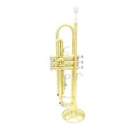 Tromba Standard Bb Set Per Principianti Strumento In Ottone Tromba In Ottone Si Bemolle Melodia Principiante Pratica Professionale Suonare La Tromba(Gold)