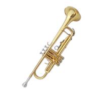 Tromba Standard Bb Set Per Principianti Strumento Per Tromba In Si Bemolle Per Principianti Banda Per Adulti In Ottone Che Suona Lacca Dorata