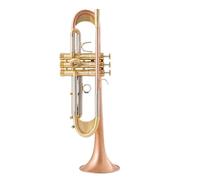 Tromba Standard Bb Set Per Principianti Strumento Tromba In Si Bemolle TR600GS Più Bronzo Fosforoso Pesante Spazzolato Argentato Prestazioni Professionali(B)