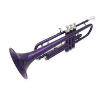 Tromba Standard Bb Set Per Principianti Strumento Tromba Si Bemolle Tromba A Tre Toni Principiante Principiante Suonare Strumento Tromba Professionale