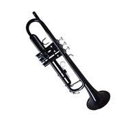 Tromba Standard Bb Set Per Principianti Test Di Livello Principiante Per Strumento A Tromba In Ottone Prestazioni Dello Strumento In Si Bemolle Nero