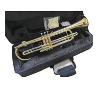 Tromba Standard Bb Set Per Principianti Tromba Bassa Laccata Dorata Bellissimo Strumento Per Prestazioni Professionali Per Principianti E Adulti