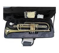 Tromba Standard Bb Set Per Principianti Tromba Bassa Professionale Laccata Dorata Per Amanti Della Musica Facile Da Suonare Per Principianti E Professionisti