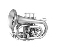 Tromba Standard Bb Set Per Principianti Tromba In Sib Mini Tromba Strumento Musicale Professionale Per Gli Amanti Della Musica