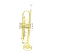 Tromba Standard Bb Set Per Principianti Tromba In Sib Strumento In Ottone Set Di Trombe In Ottone Standard Per Principianti Tromba Professionale Oro Argento Con Parti(Gold)