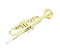 Tromba Standard Bb Set Per Principianti Tromba In Sib Strumento In Ottone Tromba In Ottone Standard Set Per Principianti Tromba Professionale Oro Argento Con Scatola(Gold)