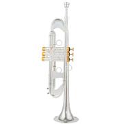 Tromba Standard Bb Set Per Principianti Tromba In Sib TR600 Strumento Musicale Placcato Argento Tromba Di Livello Professionale Bellissimo Strumento