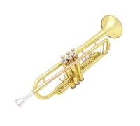 Tromba Standard Bb Set Per Principianti Tromba Musicale Professionale In Sib B Strumento A Fiato In Materiale Piatto In Ottone Con Custodia In Tessuto Per Guanti(Gold)