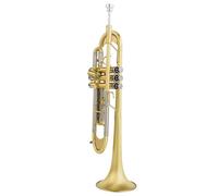 Tromba Standard Bb Set Per Principianti Tromba Per Strumenti In Ottone Sib/Do Piatto Ottone Strumento Musicale In Ottone Resistente Verniciato Oro