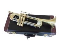 Tromba Standard Bb Set Per Principianti Tromba Professionale Si Bemolle Strumento Musicale Tromba Di Tipo Più Pesante Tromba Placcata In Oro Che Suona Musica