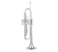 Tromba Standard Bb Set Per Principianti Tromba Sib Si Bemolle Ottone Placcato Argento Tromba Professionale Strumenti Musicali Con Custodia In Pelle(Silver)