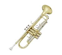 Tromba Standard Bb Set Per Principianti Tromba Sib Si Bemolle Tubo Di Ottone Dorato Con Corno D'Argento Squisito Strumento Musicale Con Scatola Guanti Cinghia Spazzola
