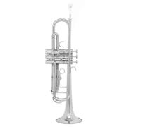 Tromba Standard Bb Set Per Principianti Tromba Sib Si Flat Ottone Verniciato Argento Bellissimo Strumento Musicale Durevole Con Custodia Per Cinturino Per Guanti(A)