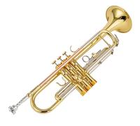 Tromba Standard Bellissima Tromba In Sib Di Qualità In Si Bemolle In Ottone Argentato Professionale Strumenti Musicali Con Custodia In Pelle
