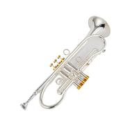 Tromba Standard Bellissima Tromba Professionale In Sib Tune In Ottone Placcato Oro Superficie Strumenti Musicali Professionali Con Custodia(Silver)