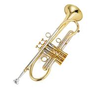 Tromba Standard Bellissima Tromba Professionale In Sib Tune In Ottone Placcato Oro Superficie Strumenti Musicali Professionali Con Custodia(Gold)