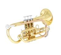 Tromba Standard Cornetta Si Bemolle Ottone Bronzo Fosforoso Variatore Oro Palma Tromba Tascabile Tromba Mini Tromba Tromba A Tre Toni