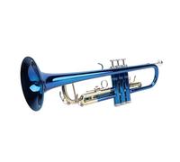 Tromba Standard in Sib per Principianti, Strumento a Tromba con Custodia per Tromba, Panno per la Pulizia della Tromba, Bocchino e Guanti per Tromba, per Orchestra di Bande
